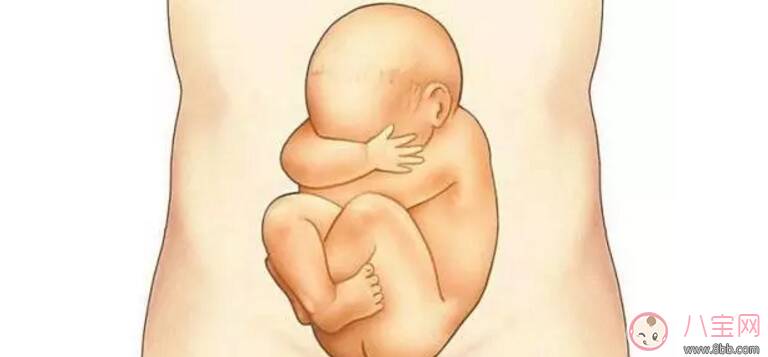 孕妇肚里有粪水嘛 宝宝在妈妈肚子里的羊水是粪水吗