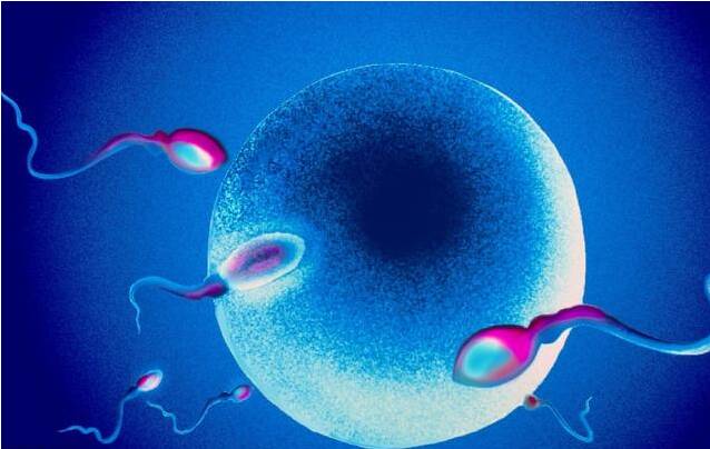 精子畸形率高会影响怀孕吗 男性精子畸形率高该怎么办