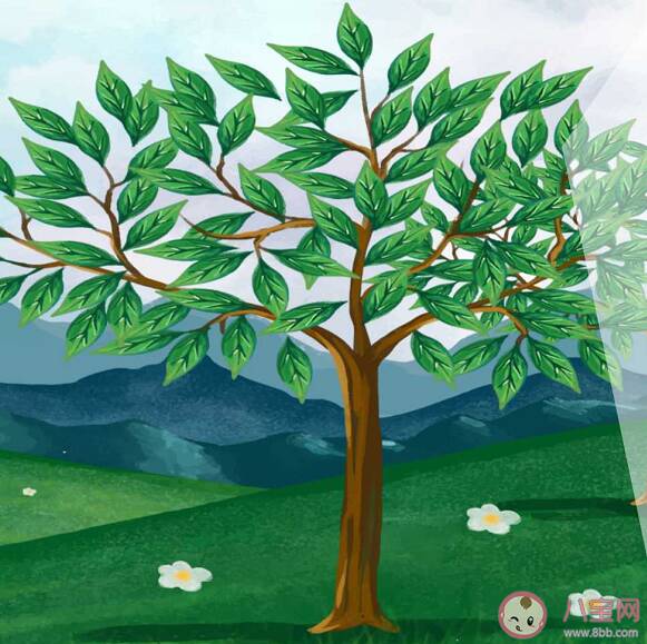 2022幼儿园植树节活动报道美篇 幼儿园植树节活动总结感想