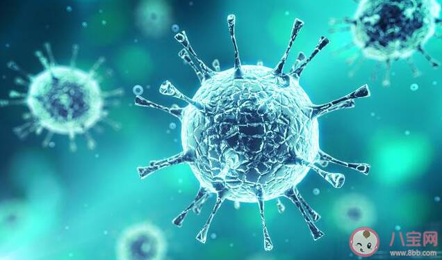 如何区分普通感冒与新型冠状病毒肺炎 新型冠状病毒肺炎的来源是什么
