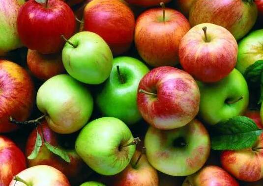 我国成为世界最大苹果生产是真的吗 多吃苹果有什么好处