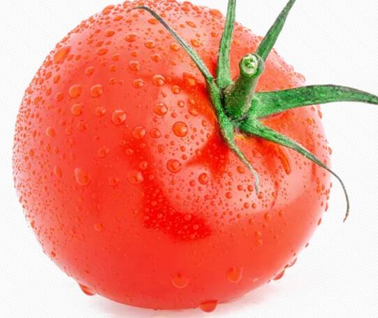 西红柿是生吃还是熟吃有营养 西红柿是吃了可以美白吗