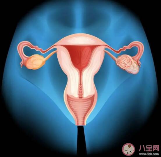 一根输卵管还能正常怀孕吗 输卵管越长怀孕的几率越高吗