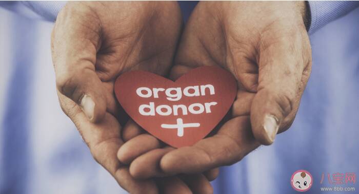 器官捐献怎么登记申请 器官捐献实体卡多久能拿到