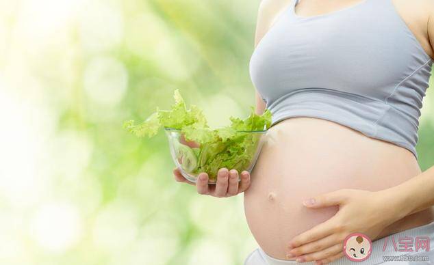 备孕要重点补充哪些营养素2022 备孕应重点补充的营养