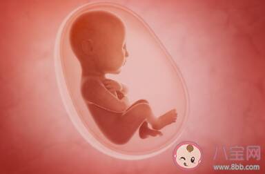 胎儿的作息时间和准妈妈一样吗 孕妇睡觉胎儿在干什么