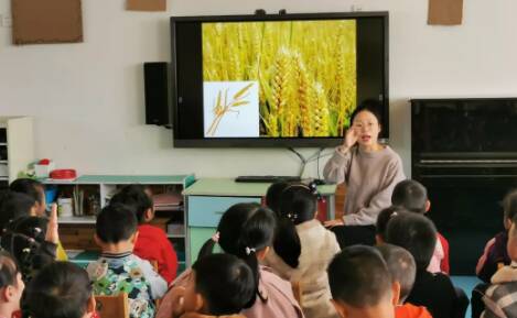 2022世界粮食日幼儿园教案大全 世界粮食日教案活动内容