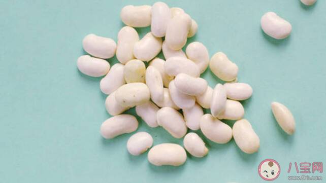 白芸豆提取物真的能减肥吗 直接食用白芸豆可以阻断碳水吗