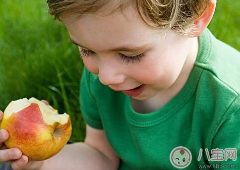 孩子爱吃苹果好吗  苹果有哪些好处