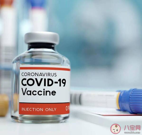 中国疫苗不良反应是如何监测的 新冠疫苗常见的不良反应有哪些