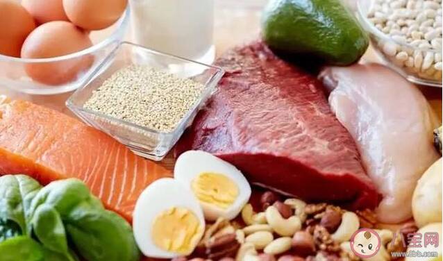 哪些食物蛋白质含量高 含蛋白质高的几种食物