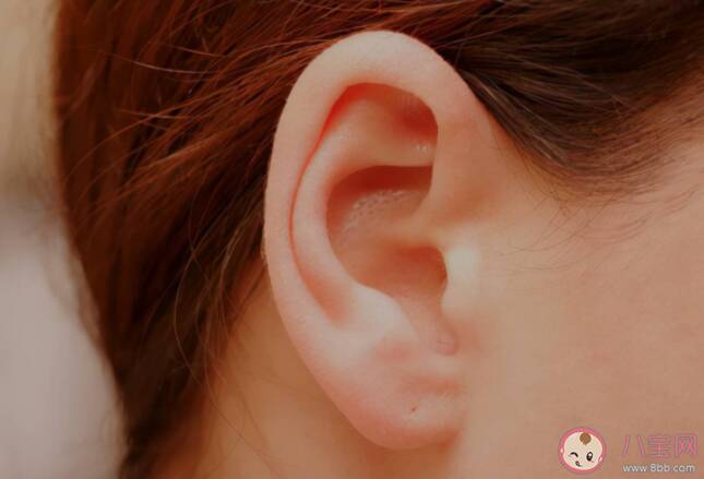 耳朵大的人更有福气吗 耳朵大小和寿命长短有关系吗