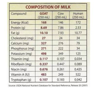 羊奶真的最接近母乳吗 羊奶和母乳有哪些区别2022