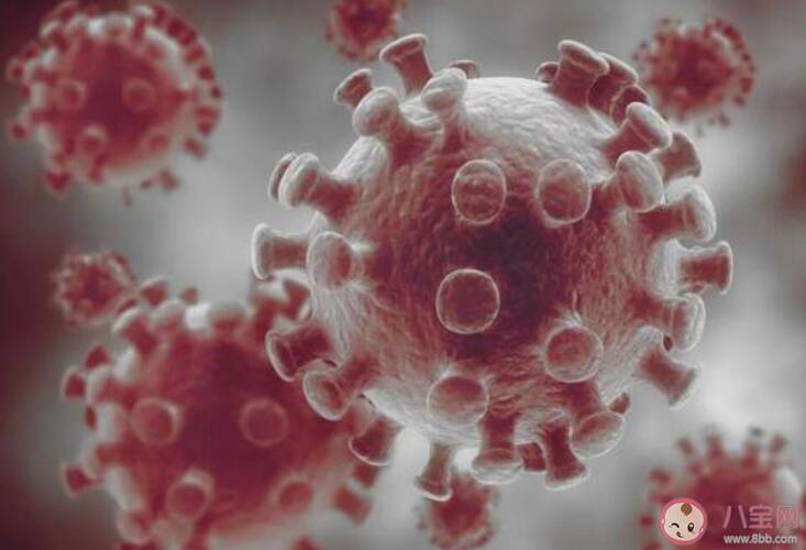 空气中一般不会有新冠病毒是真的吗 空气中一般不会有新冠病毒为什么