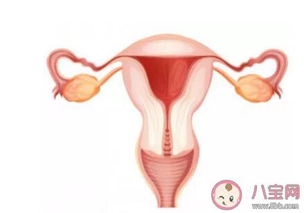 产后要不要做卵巢保养 产后做卵巢保养真的好吗